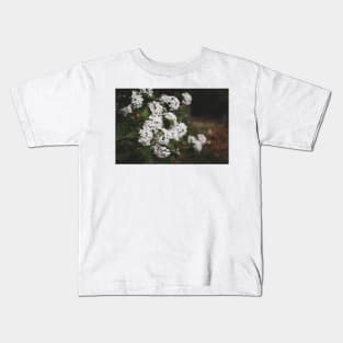White Viburnum Flowers in Springtime Kids T-Shirt